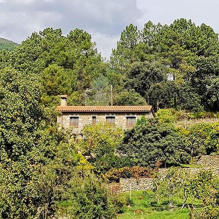 Casa Rural En Candeleda Con Piscina Y Un Maravilloso Jardin Zewnętrze zdjęcie
