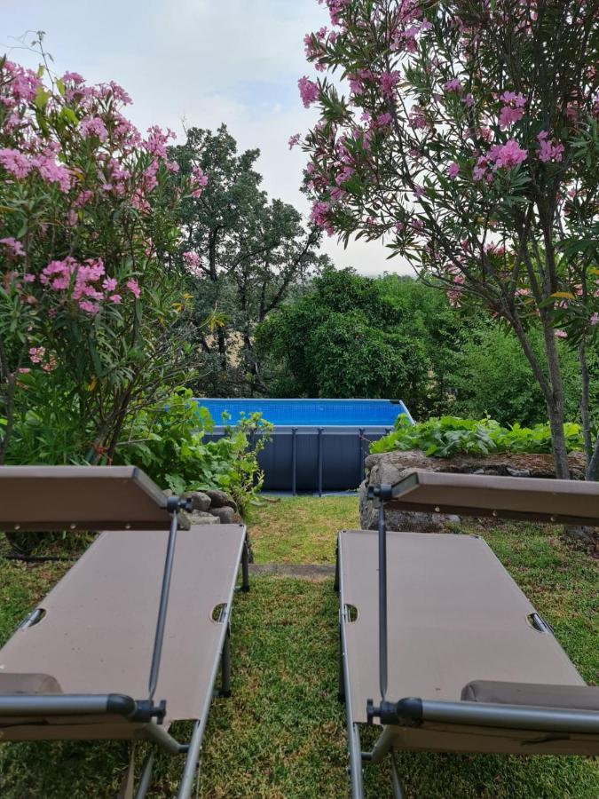 Casa Rural En Candeleda Con Piscina Y Un Maravilloso Jardin Zewnętrze zdjęcie