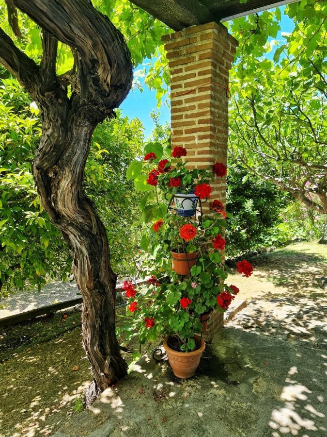 Casa Rural En Candeleda Con Piscina Y Un Maravilloso Jardin Zewnętrze zdjęcie