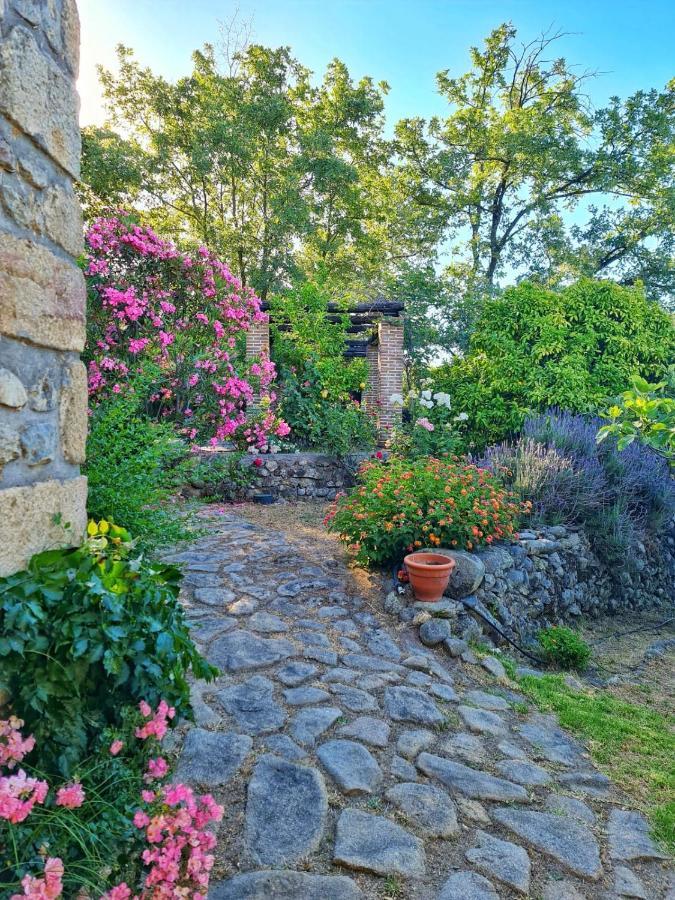 Casa Rural En Candeleda Con Piscina Y Un Maravilloso Jardin Zewnętrze zdjęcie
