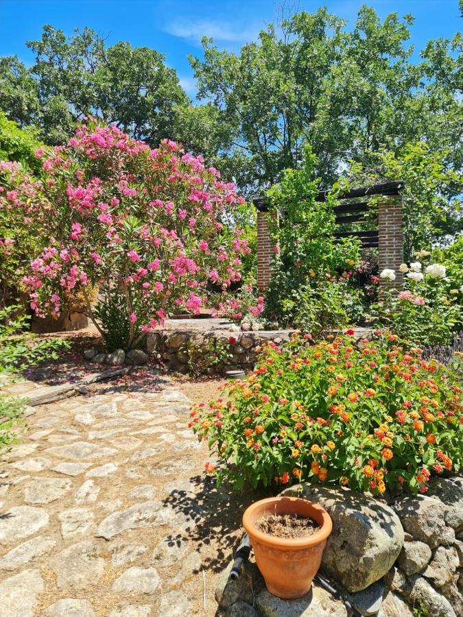 Casa Rural En Candeleda Con Piscina Y Un Maravilloso Jardin Zewnętrze zdjęcie
