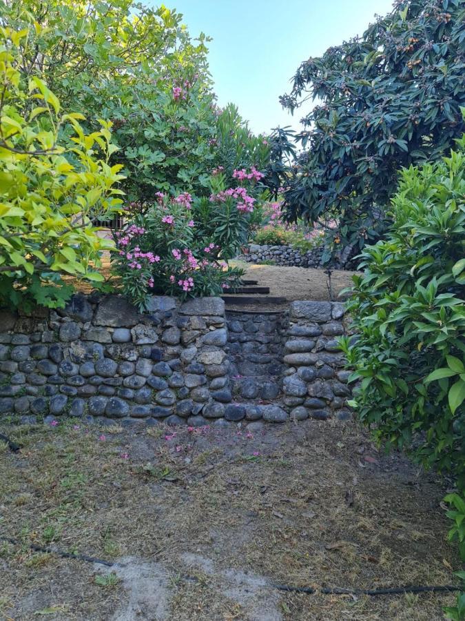 Casa Rural En Candeleda Con Piscina Y Un Maravilloso Jardin Zewnętrze zdjęcie