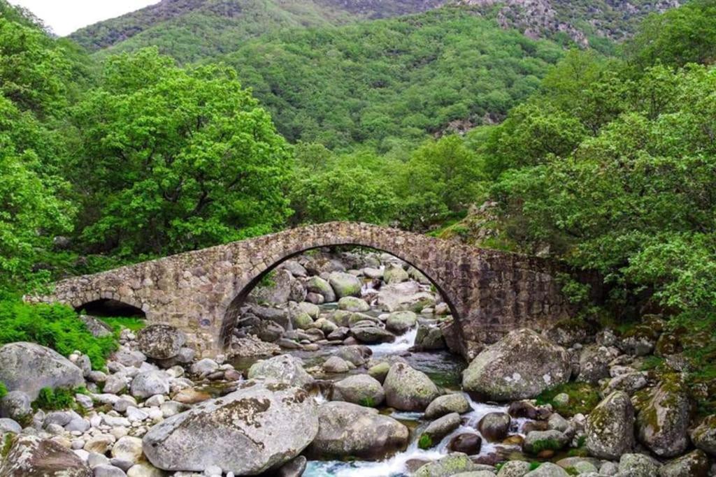 Casa Rural En Candeleda Con Piscina Y Un Maravilloso Jardin Zewnętrze zdjęcie