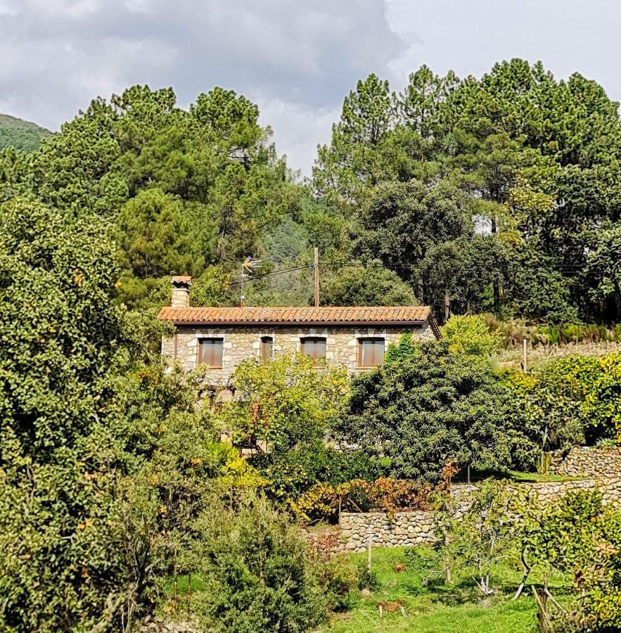 Casa Rural En Candeleda Con Piscina Y Un Maravilloso Jardin Zewnętrze zdjęcie