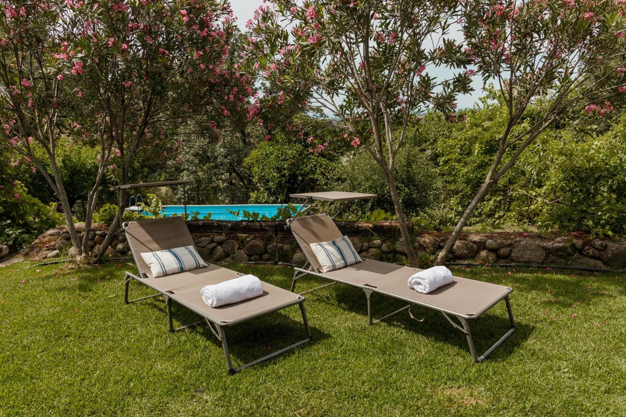 Casa Rural En Candeleda Con Piscina Y Un Maravilloso Jardin Zewnętrze zdjęcie