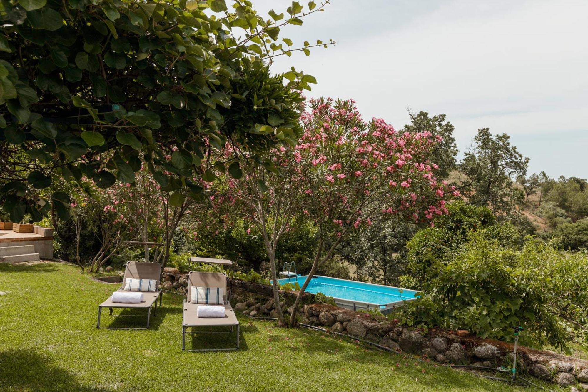 Casa Rural En Candeleda Con Piscina Y Un Maravilloso Jardin Zewnętrze zdjęcie