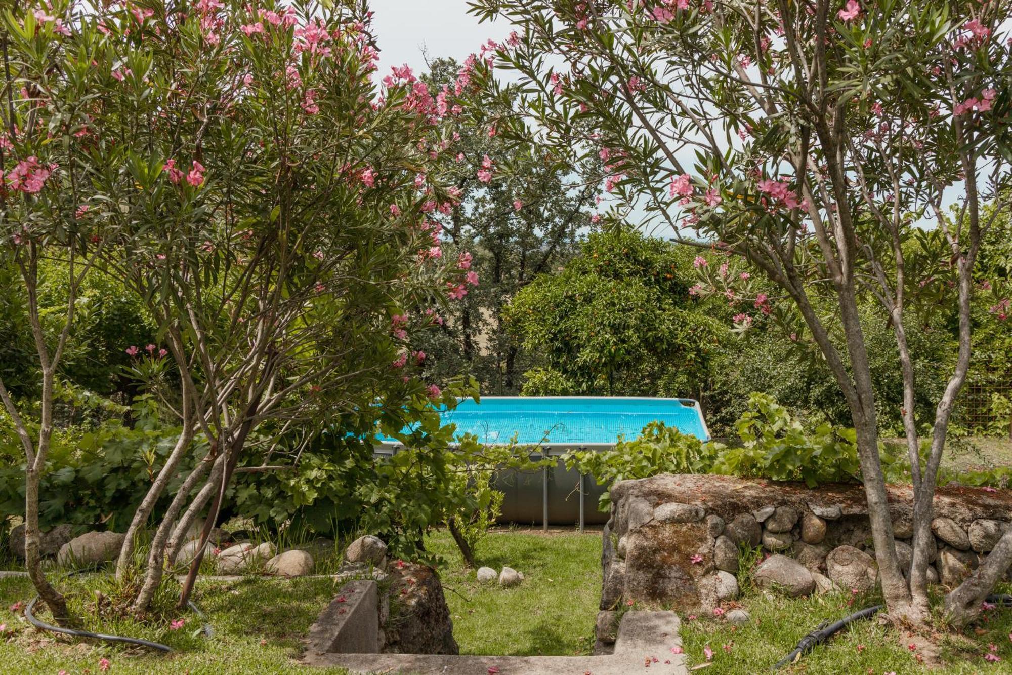 Casa Rural En Candeleda Con Piscina Y Un Maravilloso Jardin Zewnętrze zdjęcie