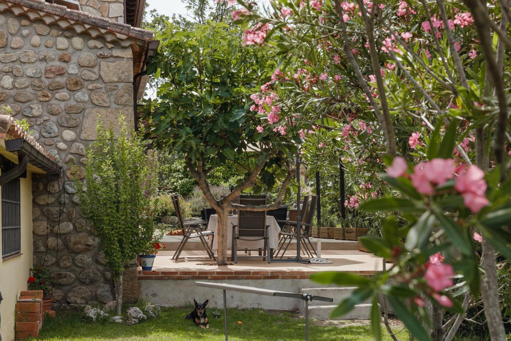 Casa Rural En Candeleda Con Piscina Y Un Maravilloso Jardin Zewnętrze zdjęcie